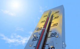Метеорологи объявили желтый уровень опасности изза аномальной жары