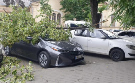 Изза сильного ветра в столице пострадало много деревьев и автомобилей