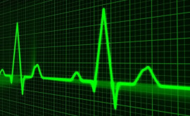 Как определить пульс и подсчитать частоту сердечных сокращений