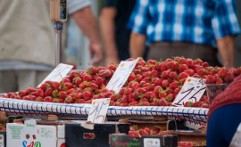 Prețurile la Piața Centrală Cît costă fructele legumele și verdețurile