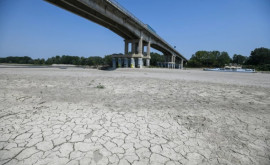 Засуха в Италии фатальное стечение обстоятельств 