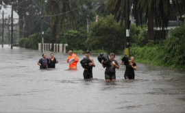Около 50 000 человек пострадали от наводнения в Сиднее 