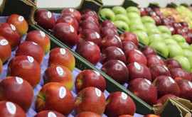 Молдавские яблоки впервые экспортировали в Германию и Финляндию