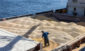 Стали известны подробности контроля за вывозом зерна из Украины