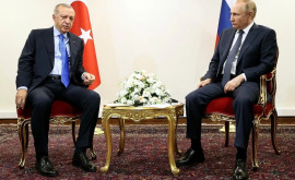 Путин обсуждает с Эрдоганом вывоз украинского зерна из черноморских портов