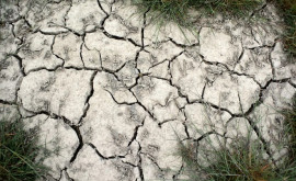 Молдова во власти жары земля трескается уровень воды в реках критический