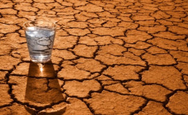 Власти Франции ограничили потребление воды изза угрозы засухи
