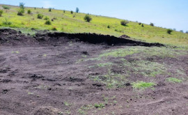 Деградация плодородного слоя почвы в Каушанах два человека оштрафованы
