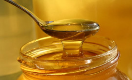 Молдавский мед не востребован в значительных количествах на европейском рынке