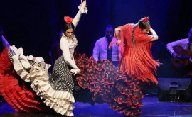 Молдавская молодежь примет участие в проекте посвященном культуре народных танцев