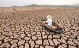 Pînă în 2030 jumătate din rîuri și lacuri ar putea seca Soluția Comisiei Europene