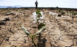 Невиданная засуха в Португалии
