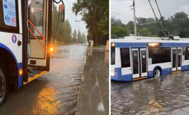 Furtuna a dat peste cap circulația troleibuzelor din Chișinău 