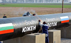 Болгария назвала условие возобновления переговоров с Газпромом