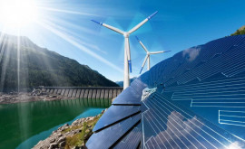 В Молдове появилось более 150 производителей возобновляемой энергии