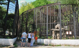 Grădina Zoologică din capitală a avut parte de vizitatori mai puțin obișnuiți