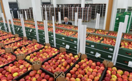 Popescu despre embargoul la fructe și legume impus de Federația Rusă