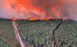 Precizările MAEIE în legătură cu incendiile de vegetație de pe insula Thasos Grecia