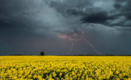В Молдове объявлен желтый уровень опасности грозовых дождей 