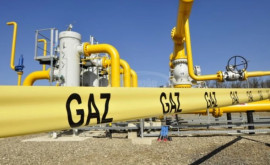 Германский регулятор заявил что страна должна сократить потребление газа на 20