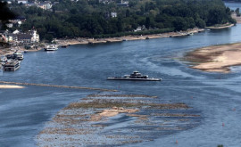 Засуха в Европе изза обмеления судоходный Рейн оказался под угрозой закрытия