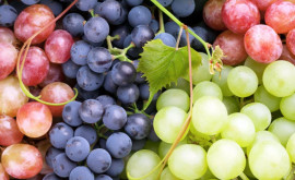 Потребление винограда полезно для здоровья