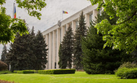Ministerul Culturii propune crearea unei noi instituții în RMoldova