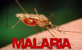 Un nou caz de deces provocat de malarie înregistrat în R Moldova 
