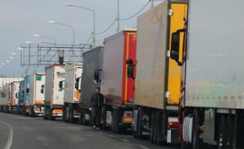 Сотни грузовиков стоят в очереди на таможне 