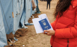 Cîți refugiați ucraineni sînt angajați la moment în cîmpul muncii