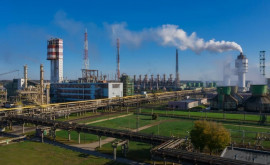 Крупнейший в Балтии завод удобрений остановил производство 