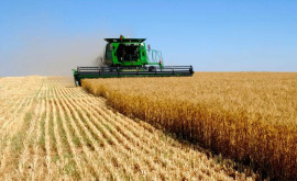 Accesul fermierilor la terenurile agricole după traseul Tiraspol Camenca prelungit