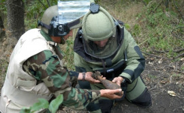 Misiune grea pentru geniștii Armatei Naționale Cîte obiecte explozive au fost nimicite în august