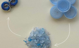 Plasticul poate căpăta o nouă viață