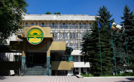 Un curs opțional ar putea apărea în curriculumul universităților din Moldova