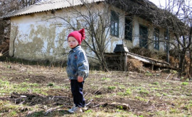 Молдавский экономист рассказал сколько бедных в нашей стране