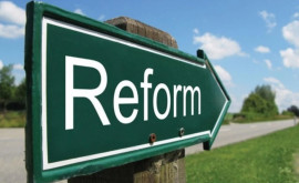 Reformele pot provoca alergie 