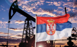 Сербия нашла замену российской нефти