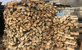Сколько запасов дров имеется на складах Moldsilva в настоящее время