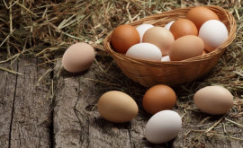 ANSA Ce informație trebuie să fie prezentă pe ambalajul ouălor pentru consum 