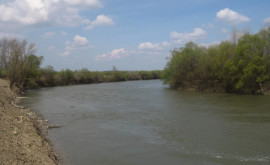 Hidrologii prognozează creșterea nivelului apei în rîul Prut