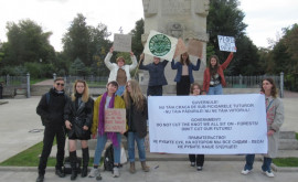 Молодежь в Кишиневе протестует против вырубки лесов на дрова