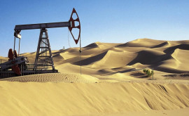 Arabia Saudită și Rusia intenționează să reducă producția de petrol