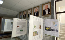Более 200 научных исследователей из восьми стран мира собрались в Кишиневе