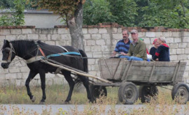 Три района Молдовы получат помощь для развития госуслуг