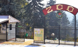 Кишиневский зоопарк готовится к переходу на зимний режим
