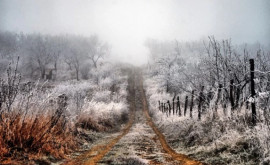 В Молдове объявлен желтый уровень метеоопасности заморозки до 3