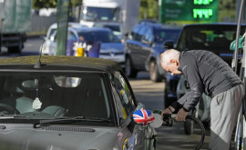 Șoferii britanici sînt sfătuiți să folosească ouă pentru a economisi combustibil