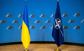 НАТО анонсировало поставки Киеву средств борьбы с БПЛА