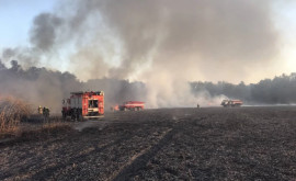 Incendiu în apropierea unor sonde de petrol din sudul țării Pompierii au intervenit în forță